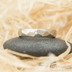 Skalák titan a čirý diamant 1,5 mm - lesklý - velikost 51,5, šířka 4 mm - Titanové snubní prsteny - k 1518 (2)